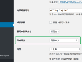 WordPress如何切换到英文,WordPress语言设置教程