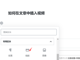 WordPress文章视频添加教程