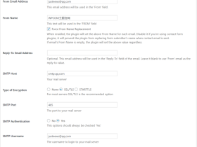 QQ邮箱WordPress SMTP配置教程