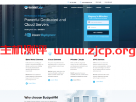 BudgetVM:$29/月-4GB/200GB/100Mbps不限流量/高防/洛杉矶&日本等机房