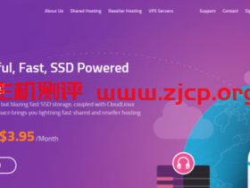 Sharedspace:$4/月/1GB内存/20GB SSD空间/1TB流量/10Gbps端口/KVM/DDOS/达拉斯