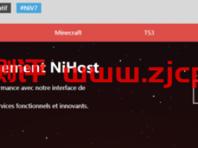 NiHost:€3.95/月/AMD EPYC/2GB内存/20GB NVMe空间/不限流量/100Mbps-250Mbps端口/DDOS/KVM/法国