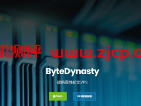 ByteDynasty:26.25元/月/768MB内存/8GB SSD空间/1TB流量/1Gbps端口/KVM/德国Hetzner