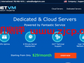BudgetVM:$12.5/月KVM-2GB/5GB/100M不限流量/日本&洛杉矶等