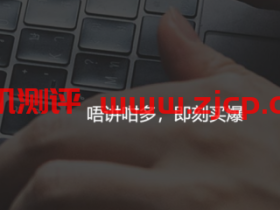 SaltyfishTech:$30/季/1GB内存/20GB SSD空间/1TB流量/100Mbps端口/KVM/德国CN2 GIA