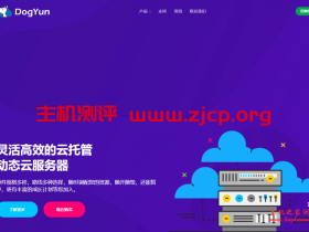 dogyun：香港“阿里云”线路VPS，45元/月，三网直连带cn2，飞起来的速度！