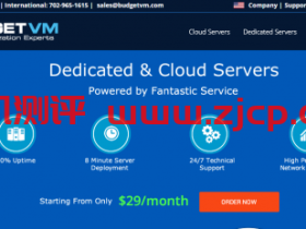 BudgetVM:$10/月/1核独享/2GB内存/50GB SSD空间/不限流量/100Mbps端口/DDOS/KVM/洛杉矶CN2/日本/达拉斯/芝加哥/荷兰等