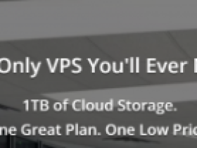 1TBVPS:$20/月/4核/8GB内存/1TB空间/20TB流量/1Gbps端口/KVM/凤凰城