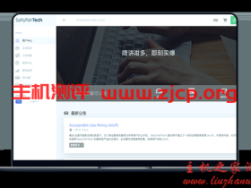 SaltyFish - 德国CN2 美西CN2 年付85折 42美元