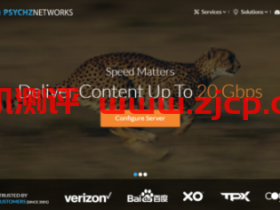 Psychz:$49/月-E3 1230v2/16GB/1TB/1Gbps端口不限流量/洛杉矶机房