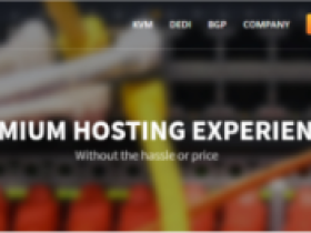 anynode:拉斯维加斯VPS,$15/年,KVM/1G内存/1核/20gSSD/2T流量(/月)