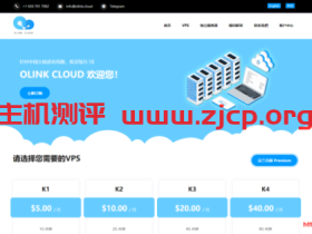 OlinkCloud:$4/月KVM-1GB/10G SSD/500GB/德国
