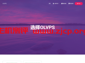 OLVPS:双11优惠,有香港LeaseWeb、伯力等KVM VPS