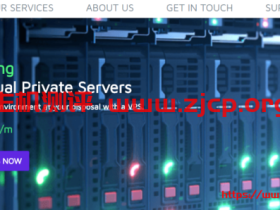 【黑五】TMT Hosting:西雅图KVM VPS,免费20Gbps DDOS防护;VPS 65折优惠,512MB内存,1TB月流量,月付2.89美金