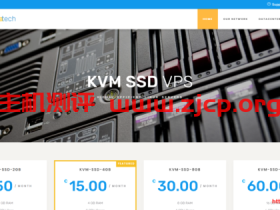 【黑五】Naranjatech:€12/年/1GB内存/20GB SSD空间/1TB流量/1Gbps端口/KVM/荷兰