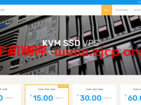Naranjatech:€12/年/AMD EPYC 7542/1GB内存/15GB NVMe空间/2TB流量/1Gbps端口/KVM/荷兰