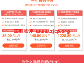 【DNS过年特惠】爆品低至36元/年，助力企业牛年业务牛气冲天！