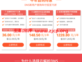 【DNS过年特惠】爆品低至36元/年,助力企业牛年业务牛气冲天!