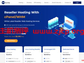 10gbhosting:$8.99/月/AMD Epyc 7371/2GB内存/20GB NVMe空间/20TB流量/1Gbps端口/KVM/英国