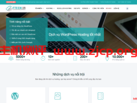 ftech:$20/月,越南VPS,1Gbps带宽,不限流量,4G内存/2核/25gSSD,Windows/Linux