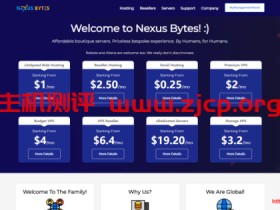 NexusBytes日本AMD Ryzen高性能VPS：1核1G内存15GB NVMe硬盘1Gbps端口250GB月流量$4.00/月
