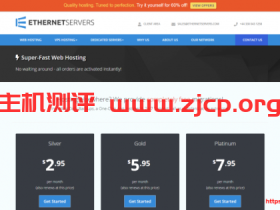 EtherNetservers：美国洛杉矶VPS/1核512M内存10GB硬盘1Gpbs端口月流量500GB/2个IP/年付仅10美元