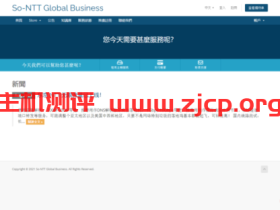 So-NTT:300元/月/2核/2GB内存/20GB SSD空间/不限流量/200Mbps-10Gbps端口/独立IP/KVM/日本NTT