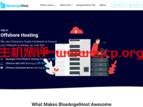 blueangelhost:保加利亚专业离岸主机,无视版权投诉,免费100G DDOS防护,KVM VPS $8.99起
