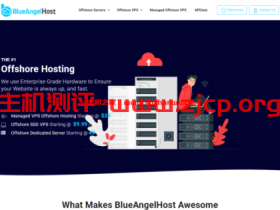 blueangelhost：保加利亚专业离岸主机，无视版权投诉，免费100G DDOS防护，KVM VPS $8.99起