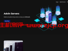 Advin Servers:$3.99/月/1核@AMD Ryzen 9 5900X/4GB内存/60GB SSD空间/不限流量/1Gbps端口/KVM/达拉斯