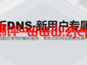 阿里云:首购+首续限时特惠,域名解析100%的服务性保障,云解析DNS1年仅需36元!