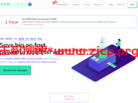 ssdnodes:标准SSD VPS年付$49起,超高速 NVMe vps年付$89起,支持Docker,14天退款保证