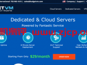 BudgetVM洛杉矶服务器1Gbps无限流量,首月5折41.94美元起