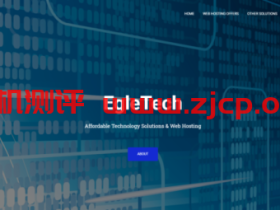 Egletech:$25/月/2*X5650/48GB内存/600GB/流量不清楚/达拉斯