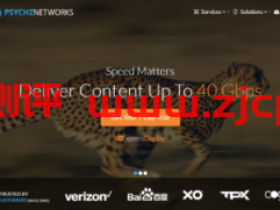 Psychz:$49/月/E3-1230v2/16GB内存/1TB硬盘/不限流量/1Gbps-10Gbps带宽/DDOS/洛杉矶