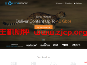 【黑五】Psychz:$29/月/E3-1230v2/16GB内存/1TB硬盘/不限流量/1Gbps-10Gbps带宽/DDOS/洛杉矶