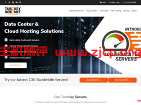 turnkeyinternet:纽约独服,10TB流量,月付99美金