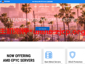 layerhost:新上AMD EPYC独立服务器,月付$390元,48核96线程,支持支付宝