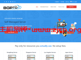 BGPTO:双十一促销,国内直连,全场65折,美国服务器月付$78.00起,新加坡/香港/日本服务器/,月付$81.25起