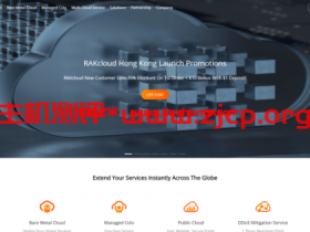 RAKsmart:11月惊爆促销活动,爆款产品半价热卖!!!!