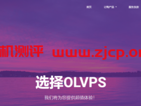 OLVPS:端口转发,100GB流量,月付20元;枣庄联通独服,30Mbps不限流量,月付449元
