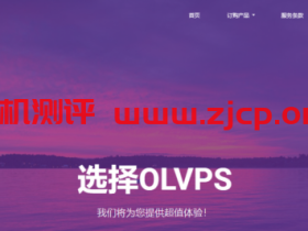 OLVPS：端口转发，100GB流量，月付20元；枣庄联通独服，30Mbps不限流量，月付449元