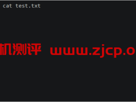 Linux指令入门-文本文件查看命令cat