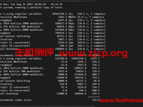 UnixBench:Linux VPS 服务器性能测试跑分脚本
