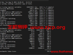 UnixBench：Linux VPS 服务器性能测试跑分脚本