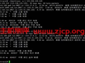 Linux/Windows下,使用BestTrace查询IP回程路由;查询IP去程路由