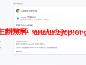 稳定版 Google Chrome v94.0.4606.54 下载