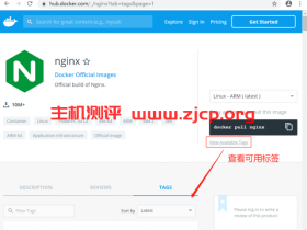 Docker 安装 Nginx