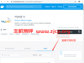 Docker 安装 MySQL