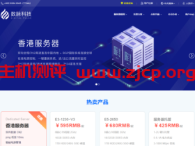 数脉科技:2021年年末促销,香港独立服务器,首月8折,月付260元